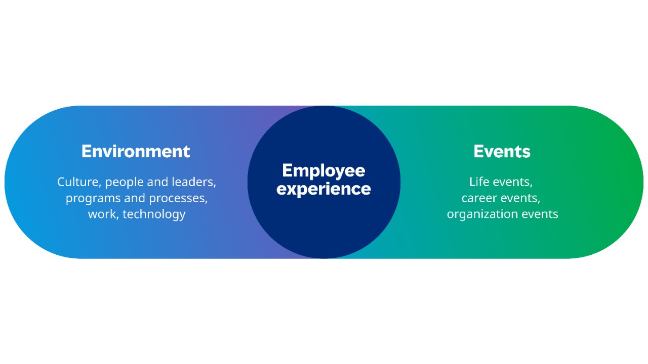 Factors the influence the employee experience